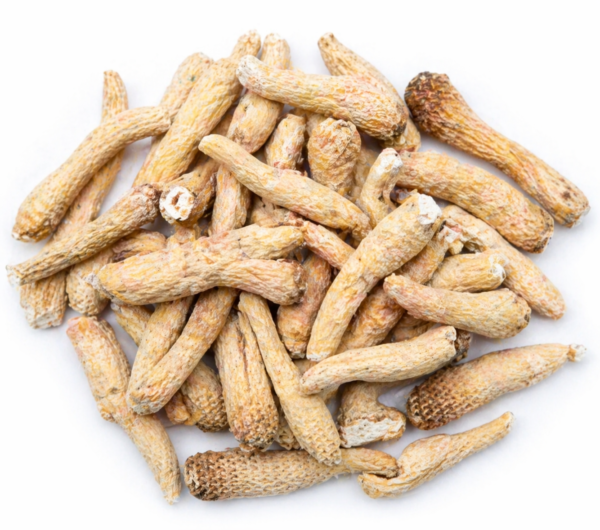 Akarkara White Root (Anacyclus Pyrethrum) – Natural Herbal Vitality Booster for Energy, Stamina & Male Performance | Premium Quality Dried Roots