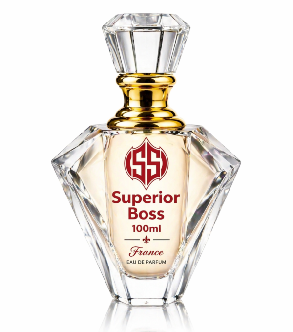 Superior Cool Water Women Eau De Perfume 100ml France