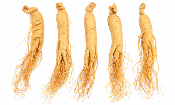 Korean White Ginseng Root – 100% Natural Premium Ginseng | Energy, Stamina & Immune Support | Dried Whole Roots