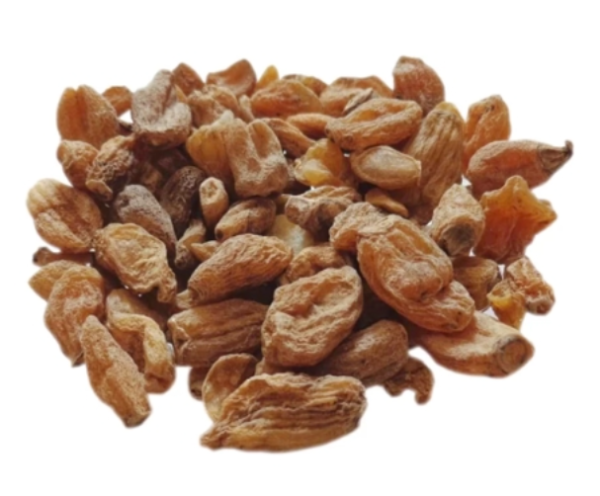 Salam Mishri Polygonatum Verticillatum - Salabmisri - Salab Mishri - Salab Misri  100 % Original Natural Fresh