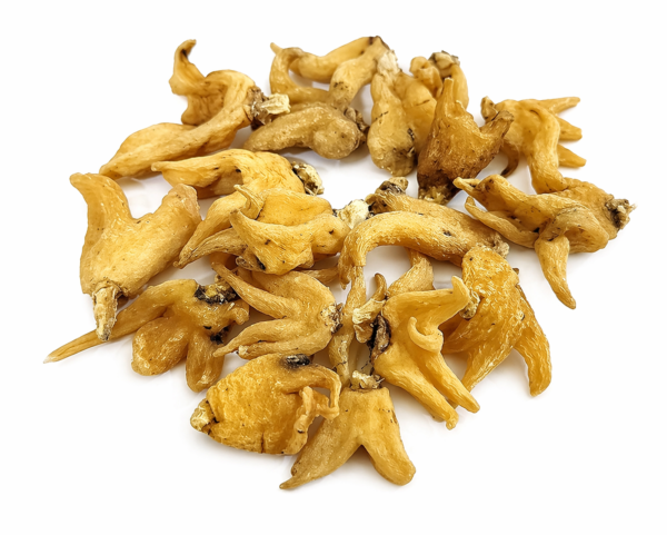 Salam Panja Hatta haddit | Panchaule Dactylorhiza Hatagirea | Salab Panja