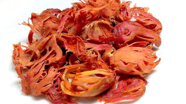 Premium Javitri (Mace Spice) – 100% Natural Dried Nutmeg Flower | Aromatic Spice for Cooking, Health & Herbal Use | Fresh & High Quality